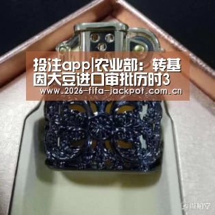 世界杯投注app